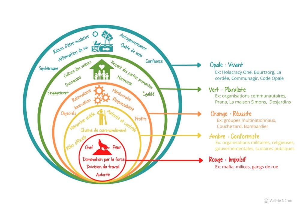 Stade d’évolution des organisations (1280 x 720 px) (1472 x 1000 px)
